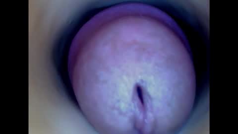 Snapshot of paulainoscente chatting on 15, 1, 2025 Paula 18 Aninhos online show from 15, 1, 2025