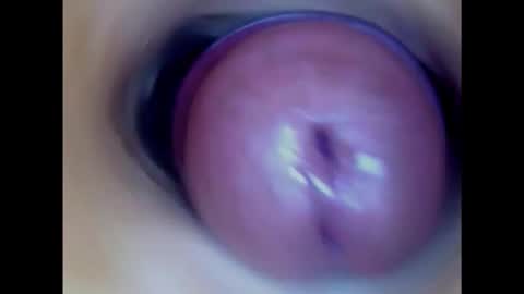 Snapshot of paulainoscente chatting on 16, 1, 2025 Paula 18 Aninhos online show from 16, 1, 2025