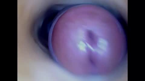 Snapshot of paulainoscente chatting on 17, 1, 2025 Paula 18 Aninhos online show from 17, 1, 2025