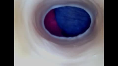 Snapshot of paulainoscente chatting on 18, 1, 2025 Paula 18 Aninhos online show from 18, 1, 2025