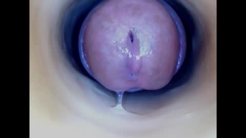 Snapshot of paulainoscente chatting on 24, 1, 2025 Paula 18 Aninhos online show from 24, 1, 2025
