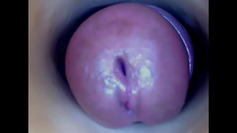 Snapshot of paulainoscente chatting on 26, 1, 2025 Paula 18 Aninhos online show from 26, 1, 2025