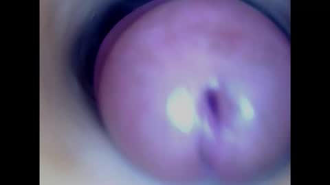 Snapshot of paulainoscente chatting on 29, 1, 2025 Paula 18 Aninhos online show from 29, 1, 2025