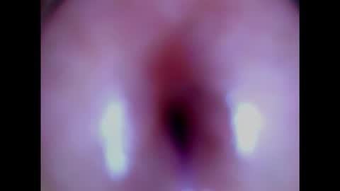 Snapshot of paulainoscente chatting on 3, 2, 2025 Paula 18 Aninhos online show from 3, 2, 2025