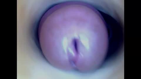 Snapshot of paulainoscente chatting on 23, 2, 2025 Paula 18 Aninhos online show from 23, 2, 2025