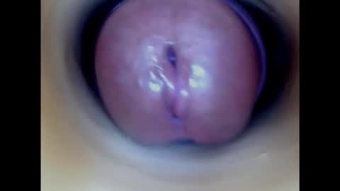 Paula 18 Aninhos online show from 21, 10, 2025