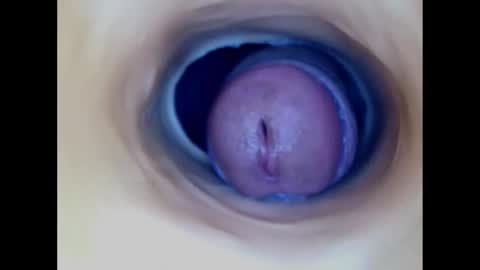 Paula 18 Aninhos online show from 14, 12, 2025