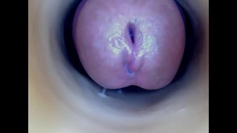 Paula 18 Aninhos online show from 13, 1, 2026