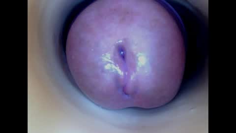 Paula 18 Aninhos online show from 5, 4, 2026