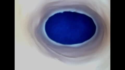 Snapshot of paulainoscente chatting on 19, 6, 2026 Paula 18 Aninhos online show from 19, 6, 2026