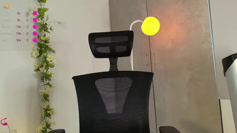 paulirose online show from 24, 2, 2026