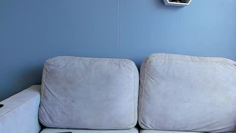 Paul Phoenix online show from 2, 1, 2025