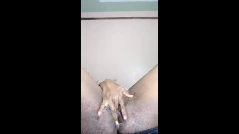 Snapshot of paulveshmah chatting on 23, 3, 2026 paulveshmah online show from 23, 3, 2026