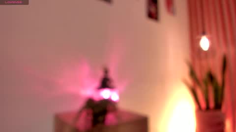 Dani online show from 2, 6, 2026