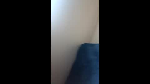 Paw online show from 21, 12, 2024