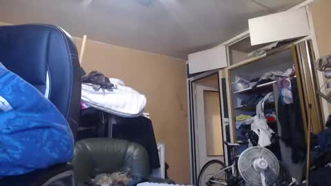 pc8474408 online show from 1, 3, 2026