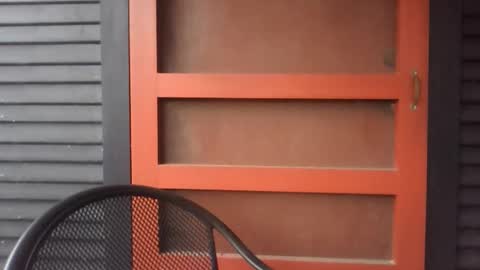 pecos8686 online show from 29, 11, 2025