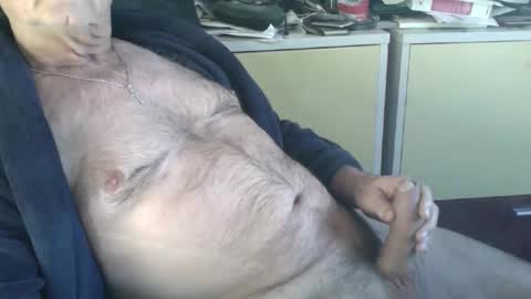 pegaso1000 online show from 15, 1, 2026