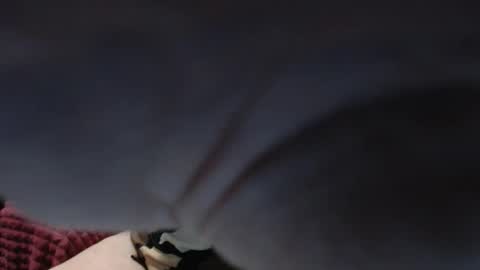 Snapshot of peggysoft chatting on 13, 10, 2025 PeggySoft online show from 13, 10, 2025