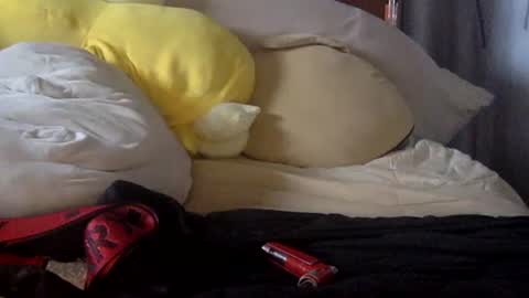 penisstroker9001 online show from 19, 12, 2025