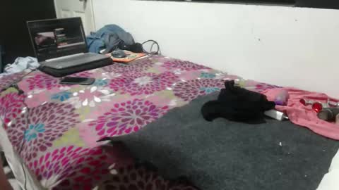 pepe39 online show from 17, 3, 2026