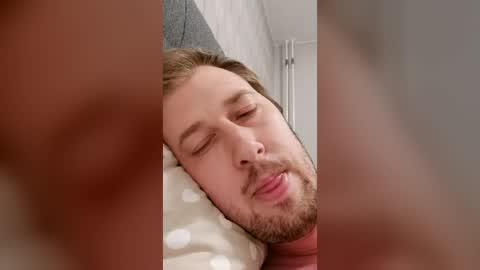 NordicBullForMilking online show from 26, 7, 2026