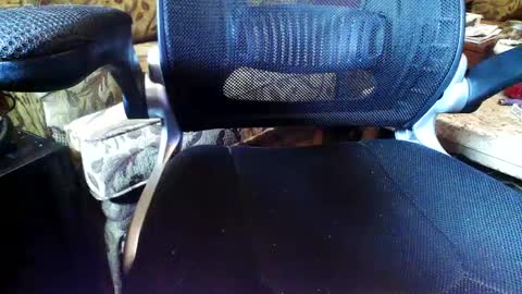 Snapshot of perfecto337 chatting on 11, 9, 2025 perfecto337 online show from 11, 9, 2025