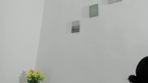 Snapshot of perla_mistc chatting on 10, 4, 2026 Perla mistc online show from 10, 4, 2026