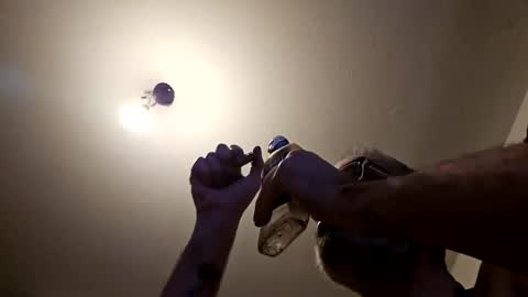 Snapshot of pervpig1 chatting on 27, 11, 2025 pervpig1 online show from 27, 11, 2025