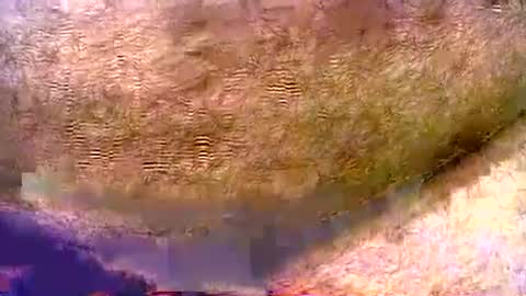 Snapshot of peterpeteropoulos chatting on 3, 8, 2026 peterpeteropoulos online show from 3, 8, 2026