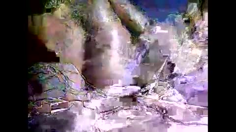 Snapshot of peterson1978 chatting on 8, 11, 2025 peterson1978 online show from 8, 11, 2025