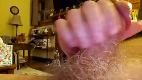 Phil online show from 17, 12, 2024