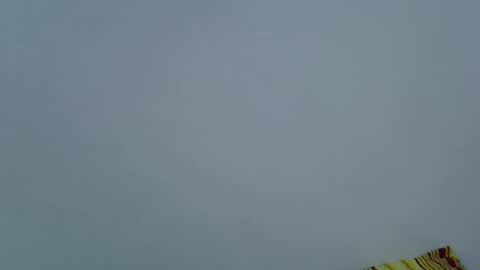 Snapshot of pickle_fingers chatting on 28, 6, 2026 pickle_fingers online show from 28, 6, 2026