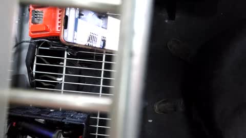 pickleback69 online show from 21, 9, 2025