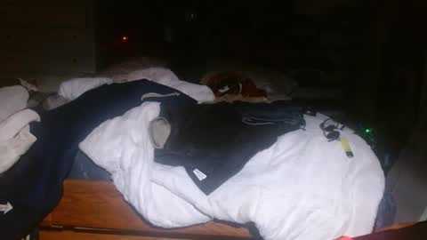 picklerick650 online show from 2, 11, 2025