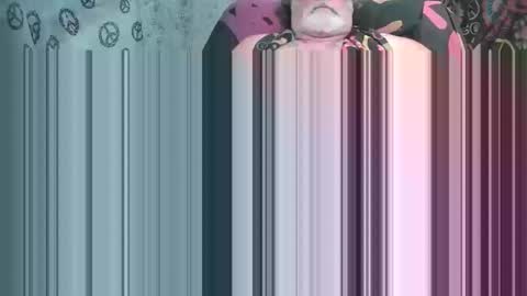 piercecox13 online show from 28, 3, 2026