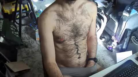 Snapshot of pigs_in_space chatting on 11, 1, 2026 pigs_in_space online show from 11, 1, 2026