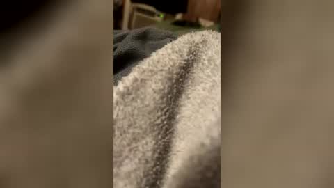 Snapshot of pimpdaddyscott chatting on 21, 7, 2026 pimpdaddyscott online show from 21, 7, 2026