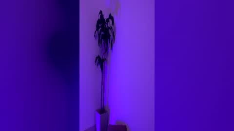 Snapshot of pink_quarz chatting on 16, 6, 2026 KELLY online show from 16, 6, 2026
