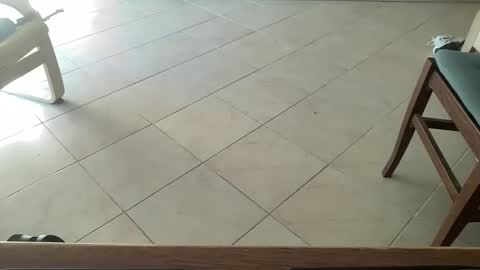 pisellone_xxl online show from 19, 9, 2025