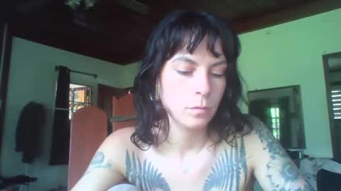 Snapshot of pixiecatfairy chatting on 11, 11, 2025 pixiecatfairy online show from 11, 11, 2025