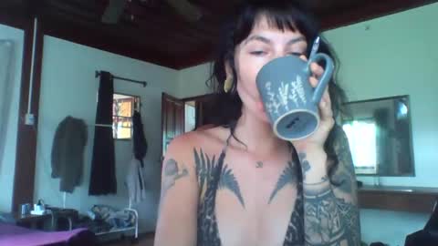 Snapshot of pixiecatfairy chatting on 13, 11, 2025 pixiecatfairy online show from 13, 11, 2025