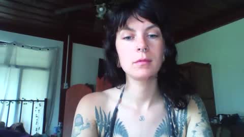 Snapshot of pixiecatfairy chatting on 23, 11, 2025 pixiecatfairy online show from 23, 11, 2025