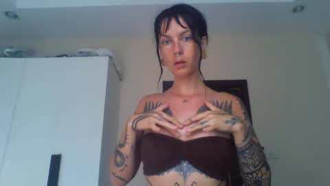 Snapshot of pixiecatfairy chatting on 23, 2, 2026 pixiecatfairy online show from 23, 2, 2026