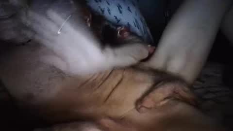 playdaddy756210 online show from 12, 3, 2026