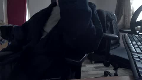 Snapshot of plboy23 chatting on 30, 11, 2025 Hello ask me . Im glad to see you here in my room. Welcome PVT is open online show from 30, 11, 2025