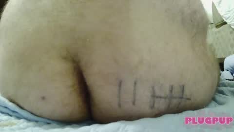Snapshot of plugpup chatting on 1, 8, 2026 PlugPup online show from 1, 8, 2026