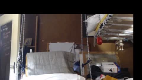 Snapshot of plumerialba chatting on 15, 12, 2024 Plumerialba online show from 15, 12, 2024