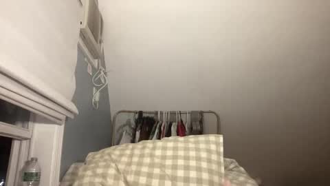 stariette online show from 15, 2, 2026