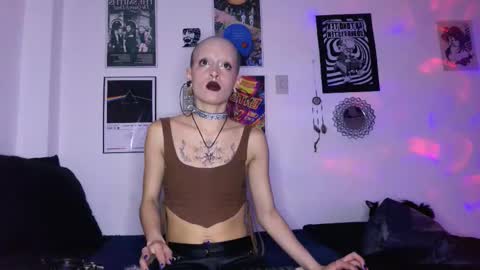    online show from 6, 11, 2025